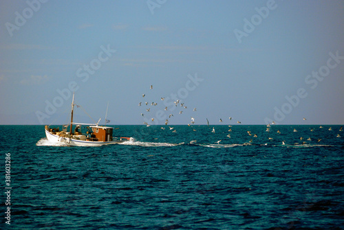 ptaki lecące za łodzią rybacką w Grecji