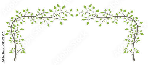 Two tree branches in the shape of an arch with green leaves and a shadow on a white background