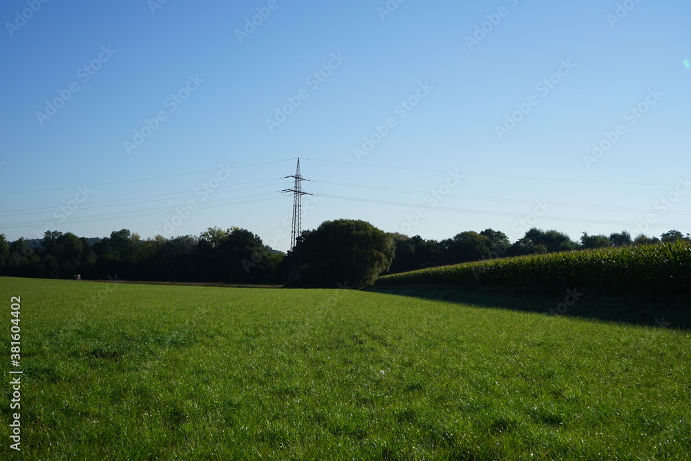lines on a field lines on a field