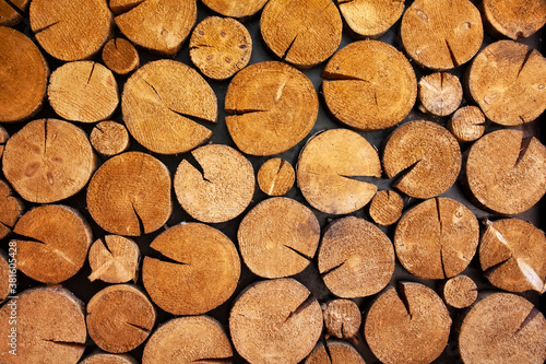 Natural background of wood logs