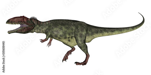 Giganotosaurus dinosaur roaring isolated in white background - 3D render