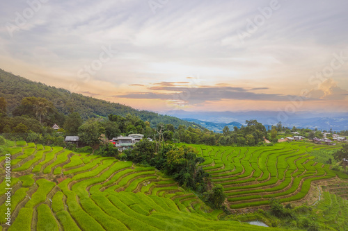 Beautiful of sunset sky with rice terrace with a paddy field in Chiangmai, Thailand.