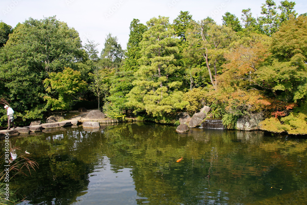 pond in the park with trees