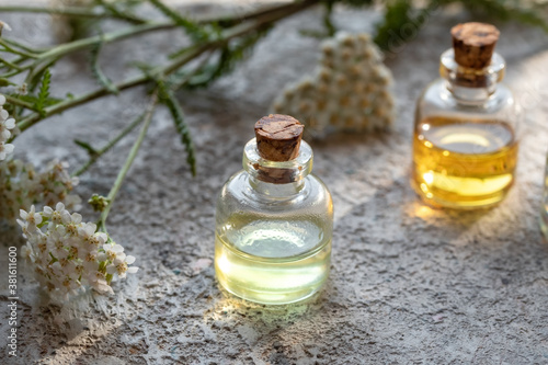 Bottles of essential oil with fresh blooming yarrow twigs