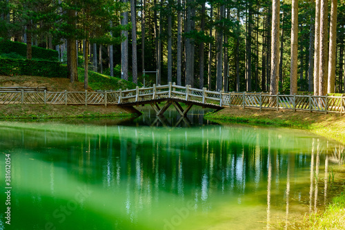 Il ponte di legno che si riflette nel laghetto del Parco Naturale della Sila Piccola, Calabria, Italia photo