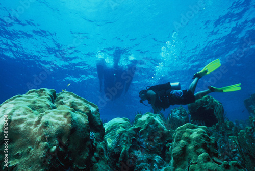 scuba diver coral reef caribbean sea Venezuela