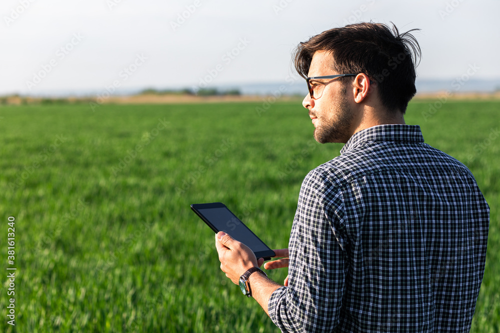 Portrait of farmer standing in young wheat field holding tablet in his hands and examining crop. Portrait of farmer standing in young wheat field holding tablet in his hands and examining crop.