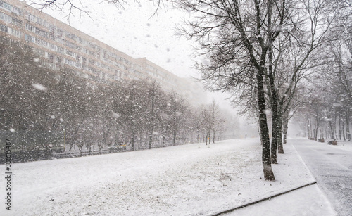Картината върху платно The first snow falls on a Park bench