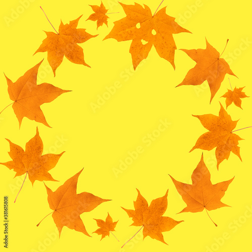 A wreath of maple leaves on a yellow background. Autumn composition. Flat lay, top view, copy space
