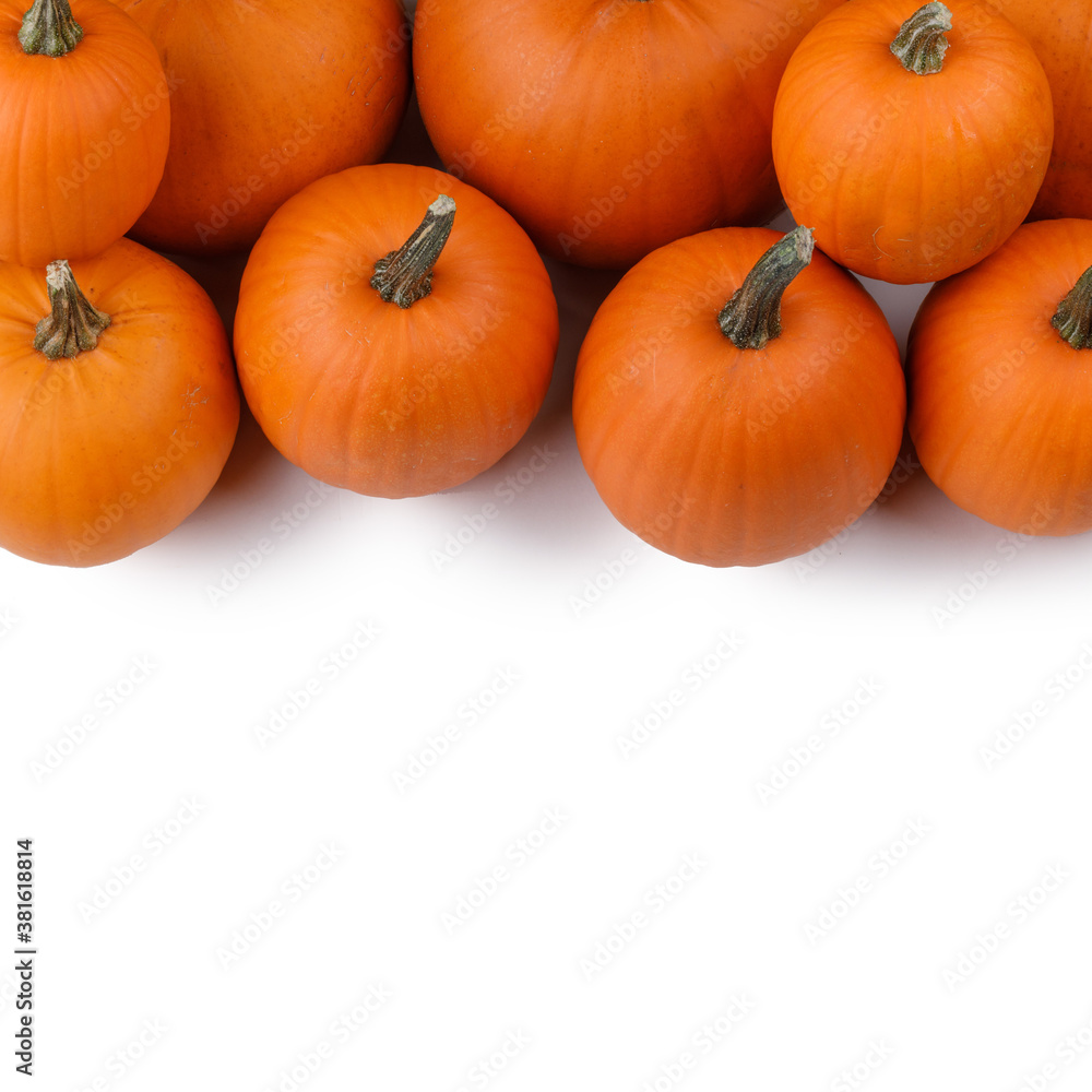 Heap of orange pumpkins Heap of orange pumpkins