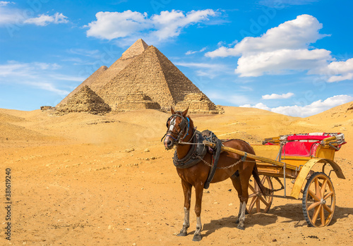 Horse near pyramids