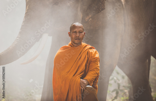Leinwand Poster Thai monks walking in the jungle with elephants