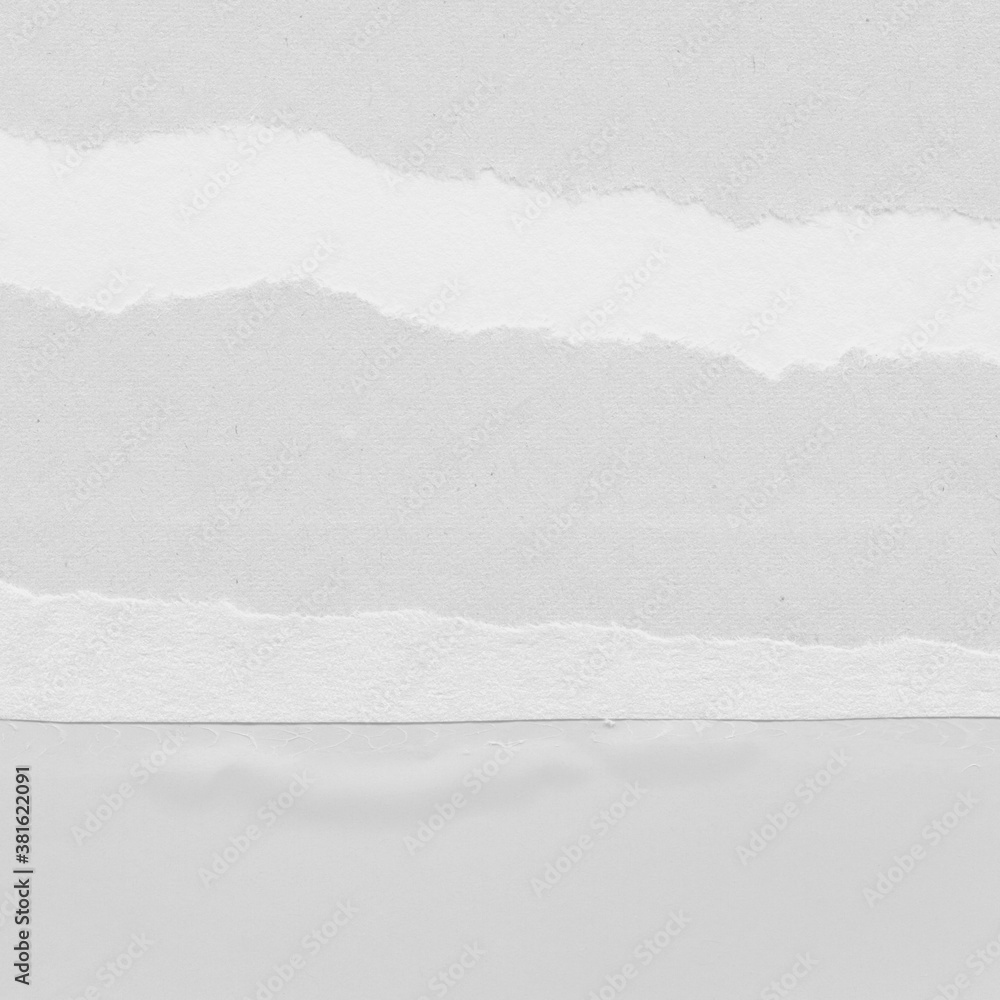 White torn paper collage close-up. Texture made from various paper and cardboard parts. Damaged old paper background. Vintage blank wallpaper. Material design backdrop. White torn paper collage close-up. Texture made from various paper and cardboard parts. Damaged old paper background. Vintage blank wallpaper. Material design backdrop.