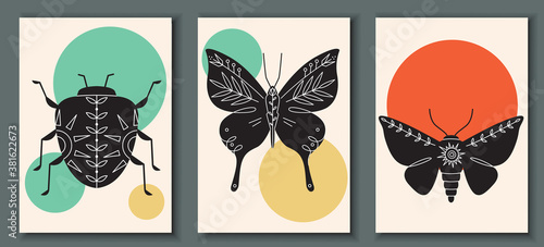 Abstract poster collection with hand drawn, insects: bug, moth, butterfly. Set of contemporary Scandinavian print templates. Ink beetles with floral ornament and geometrical shapes on the back