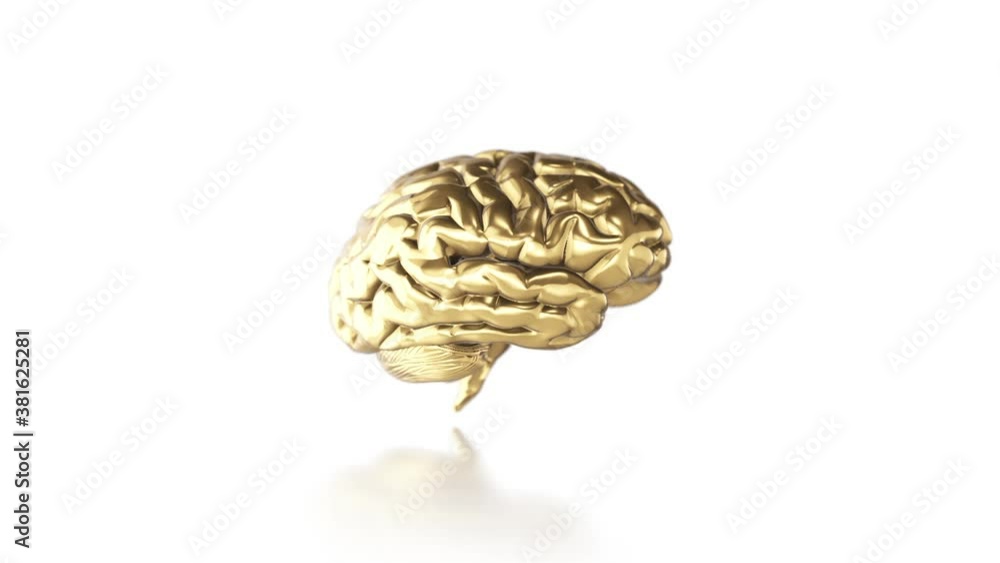 Golden brain animation. Seamless loop on white background Golden brain animation. Seamless loop on white background
