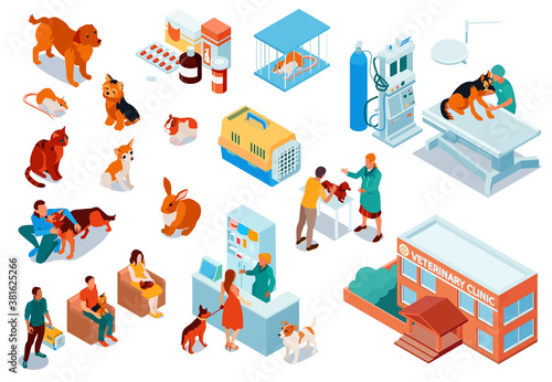 Isometric Veterinary Icon Set