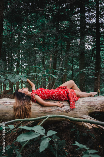 Canvas Print Beautiful Asian woman wearing red dress laying on a log in a forest