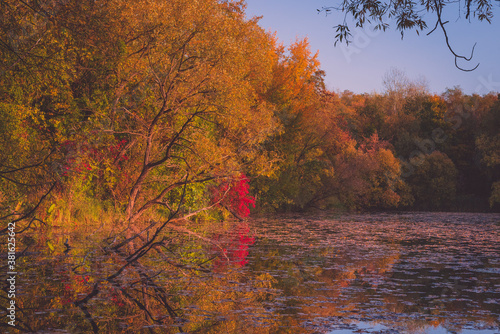 Colorful autumnal photo of a small lake  autumnal small lake with colorful trees in the background  reflections