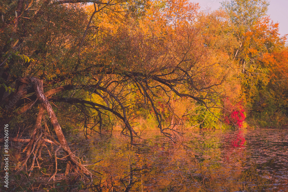 Colorful autumnal photo of a small lake, autumnal small lake with colorful trees in the background, reflections, silky contrast Colorful autumnal photo of a small lake, autumnal small lake with colorful trees in the background, reflections, silky contrast