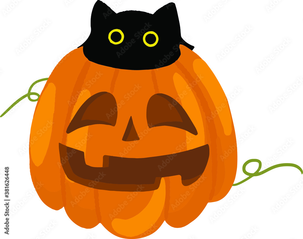 black halloween cat in pumpkin