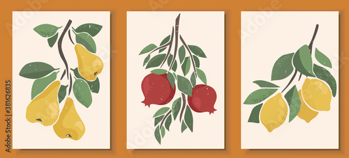 Abstract still life in pastel colors posters. Collection of contemporary art. Abstract paper cut elements, fruits and berries for social media, postcards, print. Hand drawn pear, pomegranate, lemon.