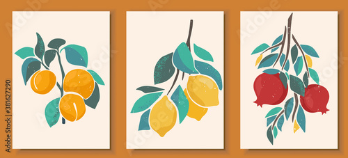 Abstract still life in pastel colors posters. Collection of contemporary art. Abstract paper cut elements, fruits and berries for social media, postcards, print. Hand drawn apricot, lemon, pomegranate