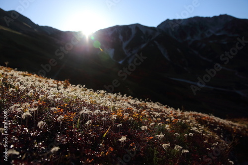 立山の朝