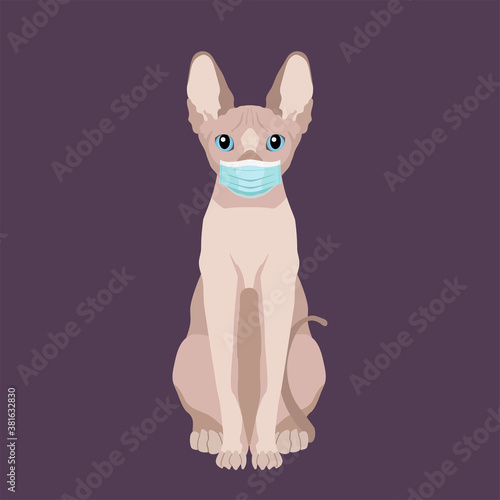 Vector portrait of sphynx hairless cat wearing protective face mask