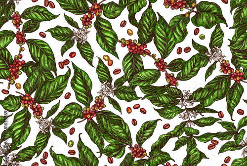 Seamless vector pattern with coffee tree and plants. Coffee growing color background in hand drawn engraving style. Sketch of grains, berries, foliage and flowers