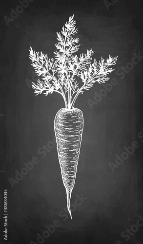 Chalk sketch of carrot.