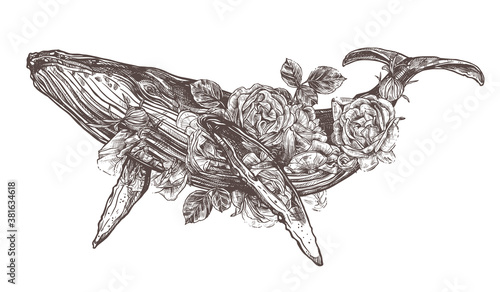 Vector hand drawn double exposure illustration of  humpback whale and roses flowers. Sketch detailed engraving style, creative, magical and surreal idea for tattoo or print