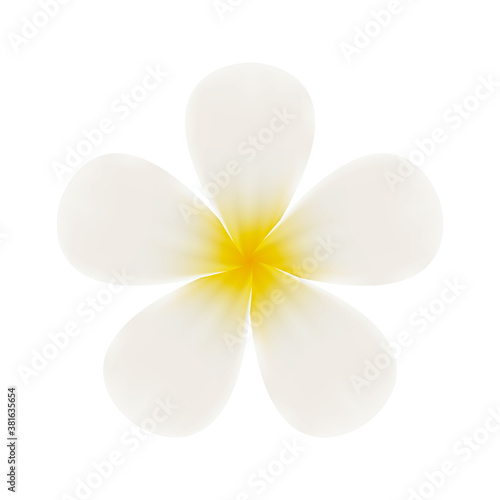 Plumeria (frangipani) flower icon