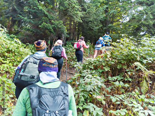 Group of tourists on trekking in forest