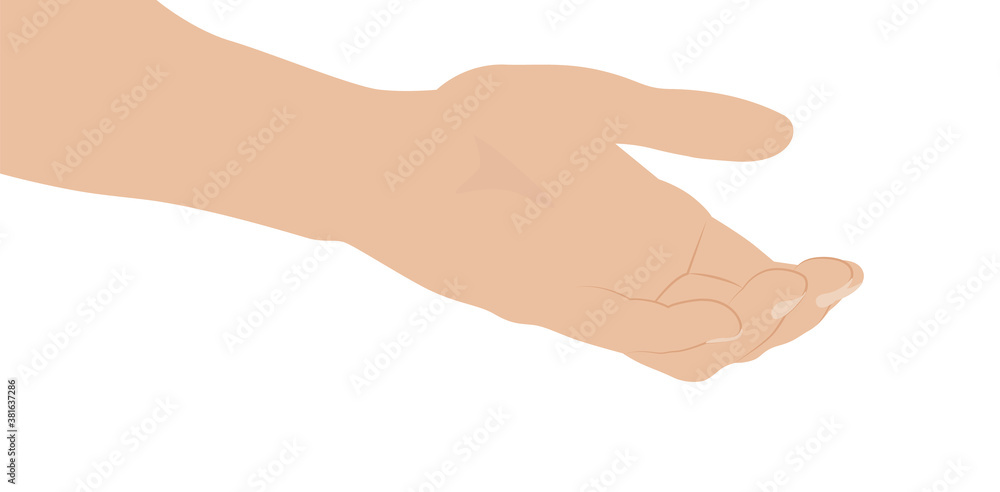 Woman hand on white background, flat design Woman hand on white background, flat design