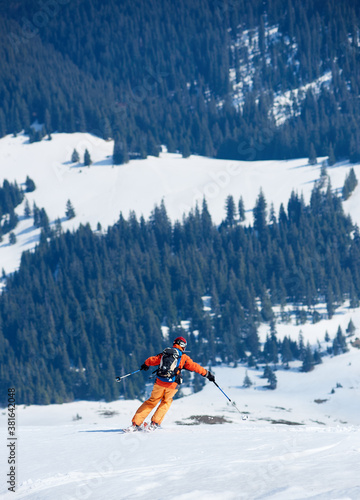 Back view of skier in bright clothing with backpack riding skis down snowy slope on background of green spruce trees and mountain clearings. Winter holidays, traveling and exploration concept.