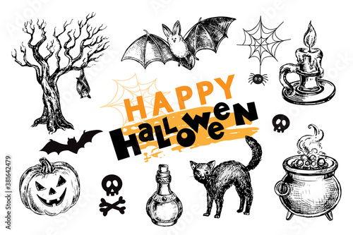 Hand drawn sketch illustration with Halloween elements on white background. Black cat, spider, bat and pumpkin