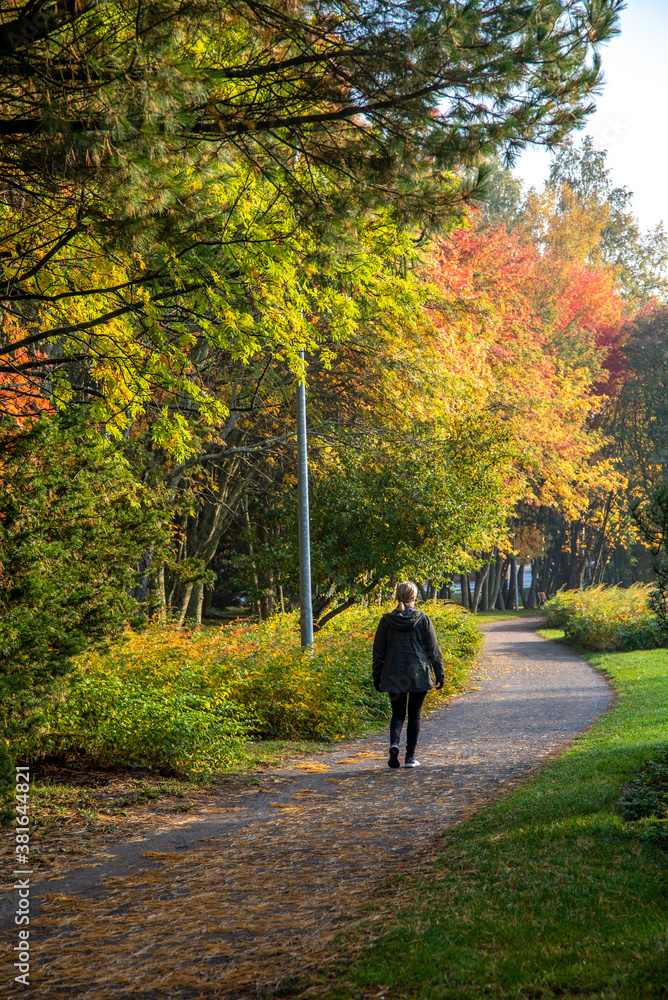 Adult woman walking away alone on path in autumn park