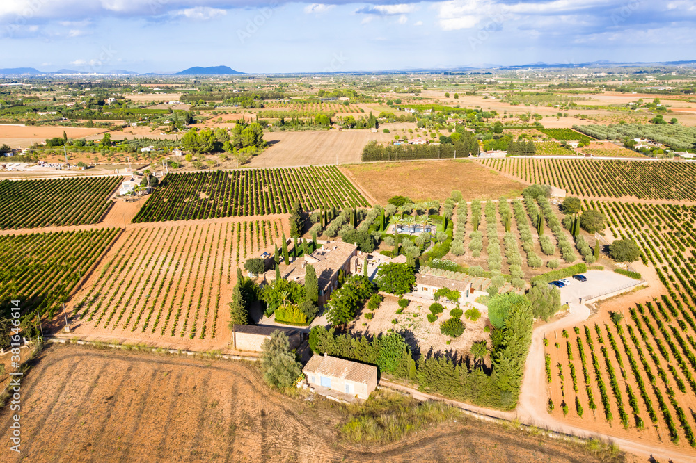 Aerial view, agriculture with olives and fields around santa Eugenia and Santa Maria, center of the island, Mallorca, Balearic Islands, Spain