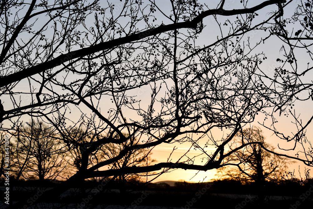 Beautiful Golden Sunrise over Irish Landscape Beautiful Golden Sunrise over Irish Landscape