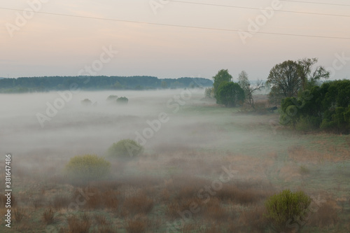 morning fog in the floodplain Belarus, the city VETKA, floodplain Sozh photo