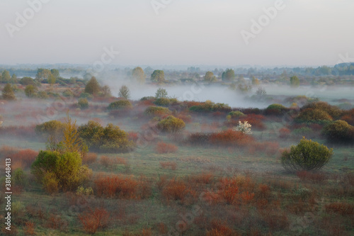 morning fog in the floodplain Belarus, the city VETKA, floodplain Sozh photo