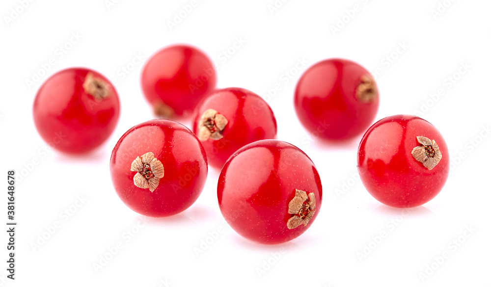 Red currant berries on White Background Red currant berries on White Background