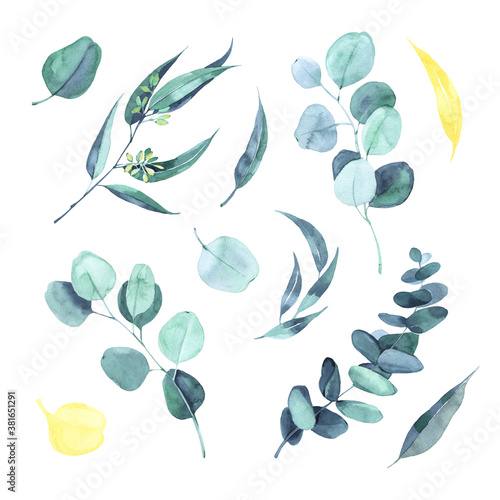 Watercolor eucalyptus round leaves and branches set. Hand painted baby, seeded and silver dollar eucalyptus elements. Floral illustration isolated on white background. For design and textile.