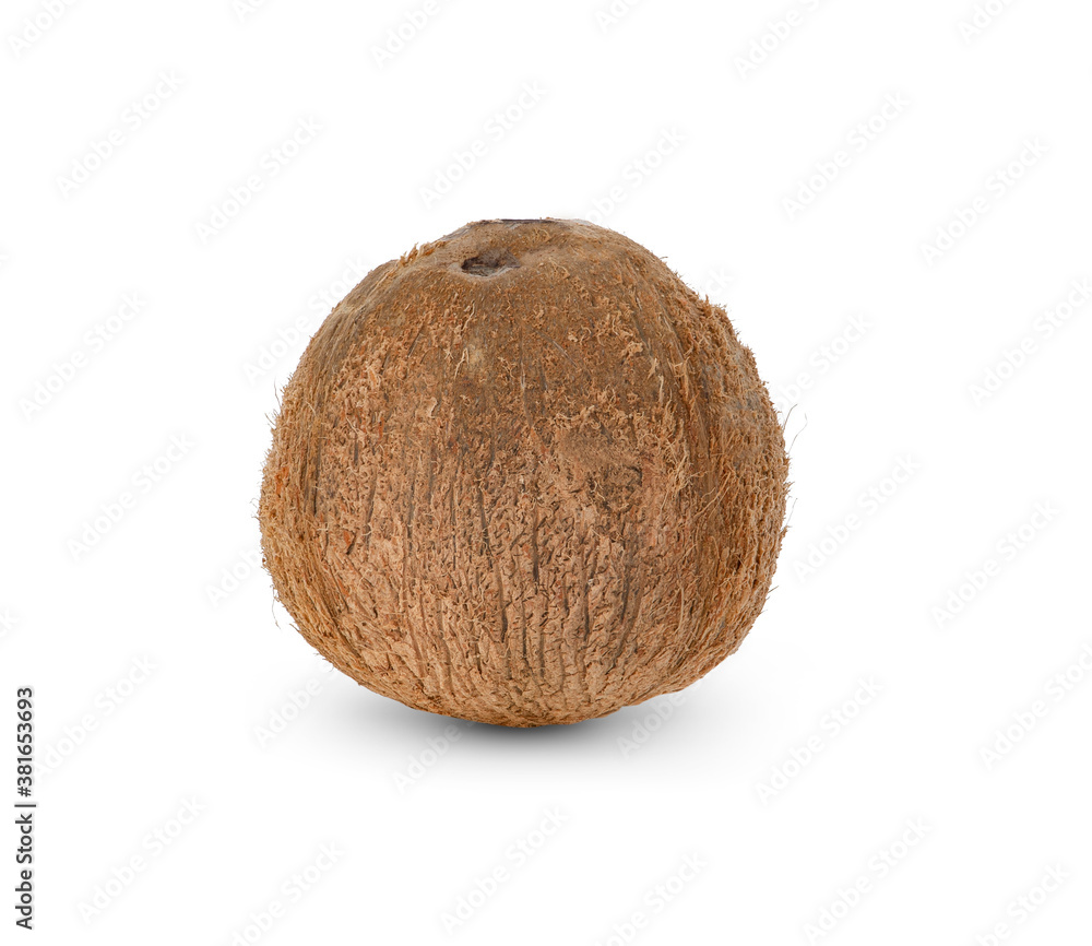 coconut isolated on white background. coconut isolated on white background.