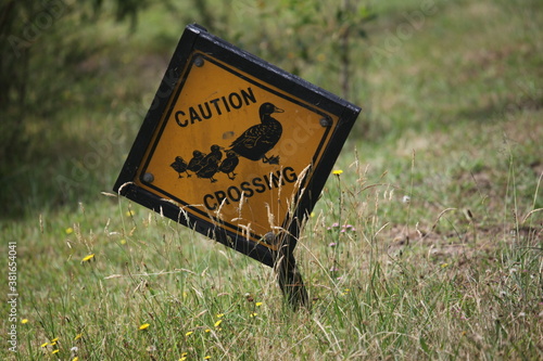 caution ducks crossing sign