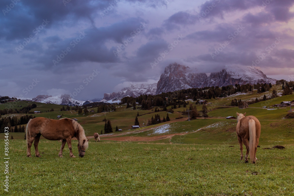 Fototapeta premium Seiser Alm, Dolomiten