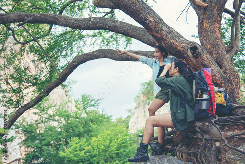 Group Asia women hiker with backpack on big tree checks map to find directions and look binoculars in wilderness area forest.  People teamwork climb up and pointing in mountains.  © freebird7977