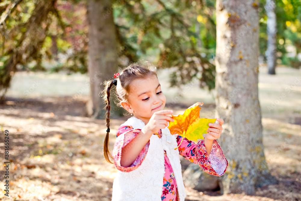 A little girl walks in the autumn forest with a beautiful yellow fallen leaf. A cheerful girl smiles and holds a large bright leaf from a tree.