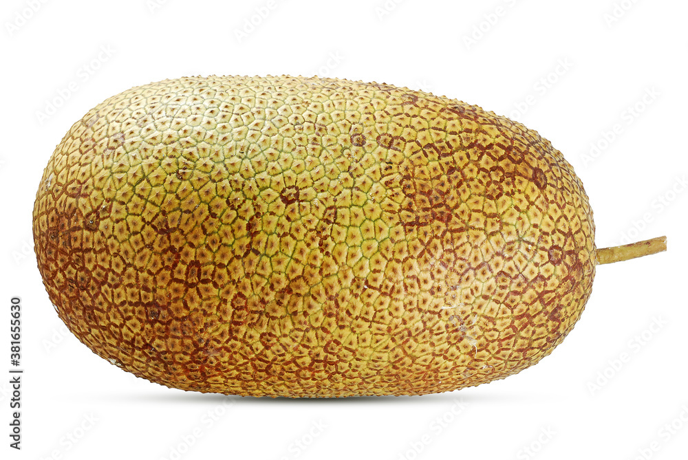 Sweet Jackfruit isolated on white background Sweet Jackfruit isolated on white background