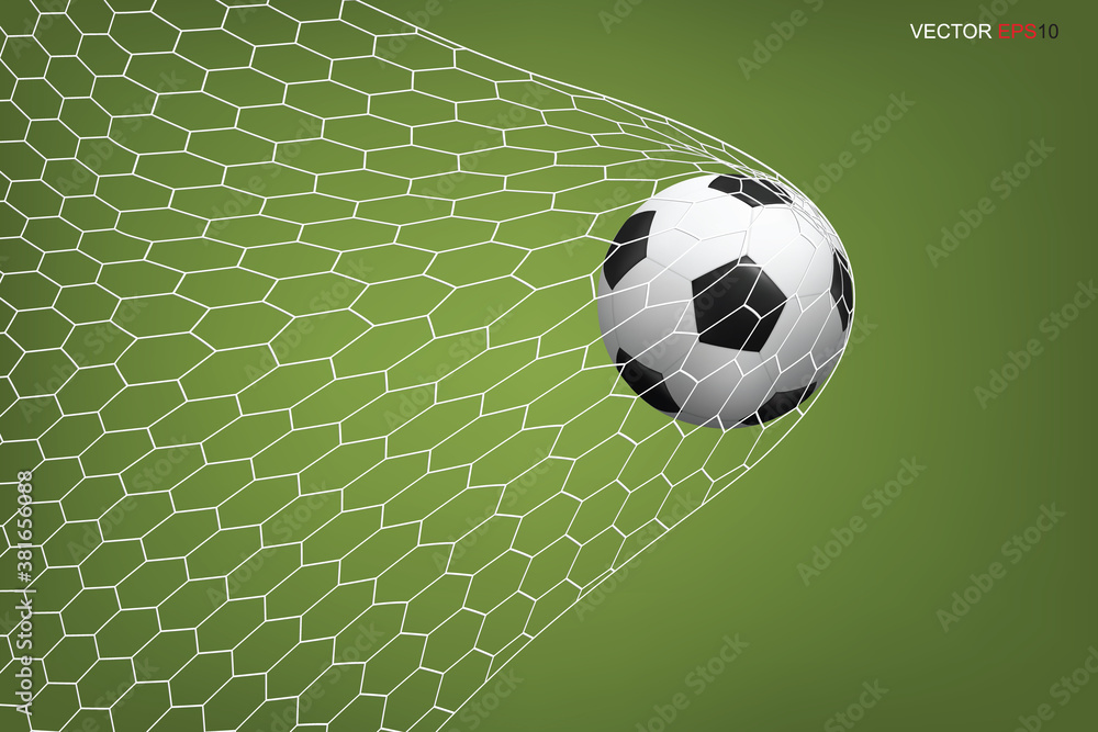 Obraz premium Soccer football ball in goal and white net. Vector.